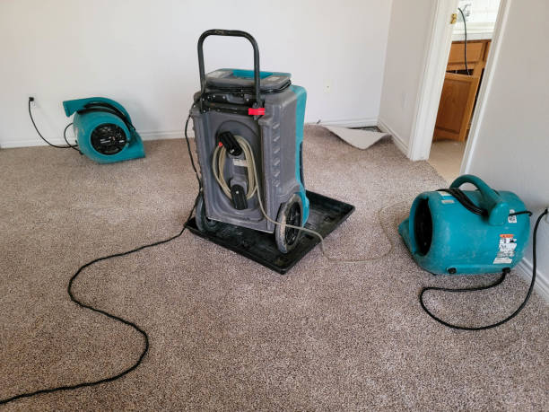 Best Water damage cleanup near me  in Fearrington Village, NC