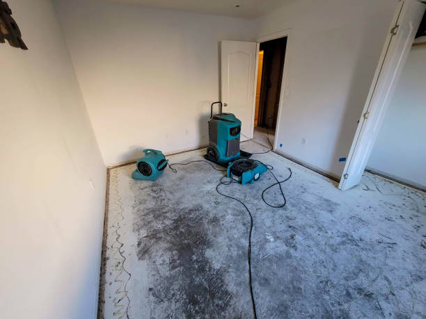Best Basement water damage restoration  in Fearrington Village, NC